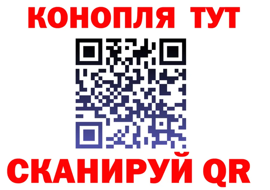 ТГК Wax зеркало площадка OMG Калининград