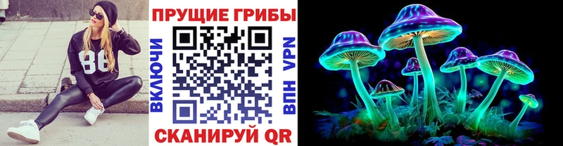 Галлюциногенные грибы Magic Shrooms  Купить  Калининград 